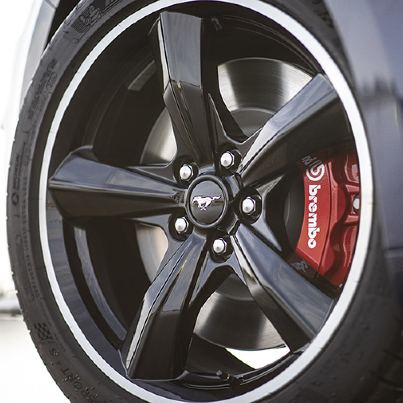 Ford Mustang Brake Kit - Front + Rear - Ford Racing - Brembo 6-Piston Calipers + Bullitt Rotors and Pads - Gloss Red - `15-`20 Ford Mustang Brake Kit - Front + Rear - Ford Racing - Brembo 6-Piston Calipers + Bullitt Rotors and Pads - Gloss Red - `15-`20